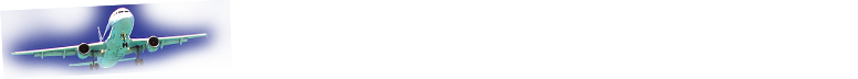 飛行機乗るなら株主優待券がオトク！！