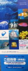 新江ノ島水族館 招待券