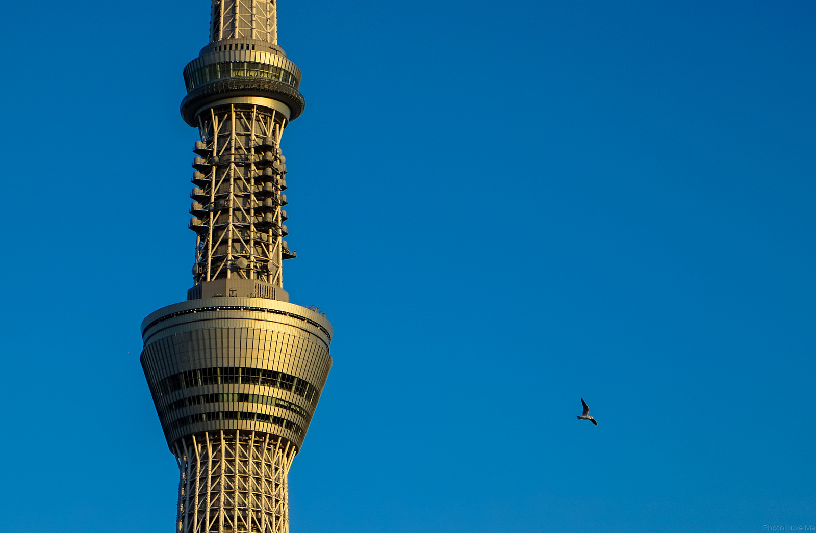 skytree