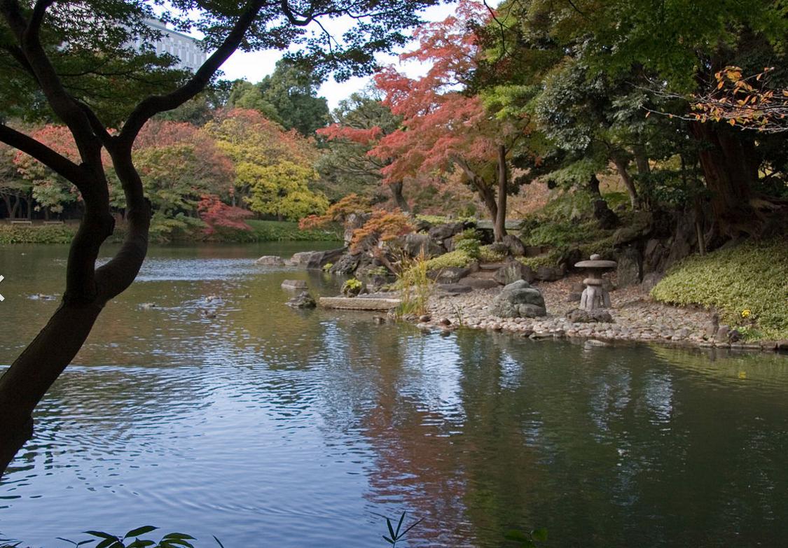 小石川庭園