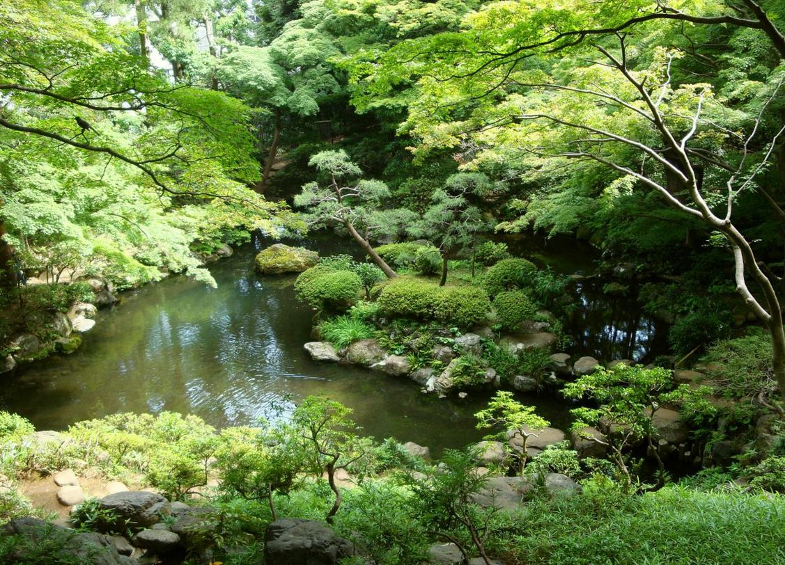 殿ヶ谷戸庭園