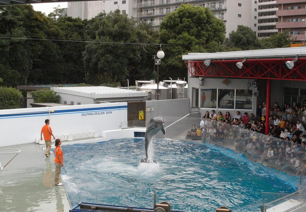 しながわ水族館