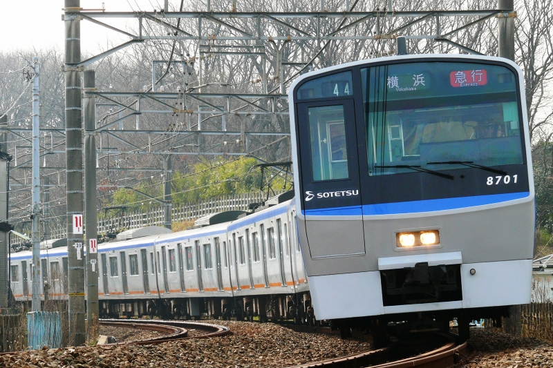 相鉄線　株主優待乗車証　70枚