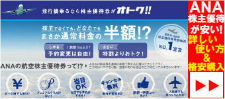 飛行機に乗るなら株主優待券がオトク!!ANA株主優待券が安い！詳しい使い方&格安購入