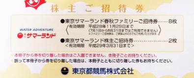 サマーランド 各種チケットの格安販売なら金券ショップへ｜金券