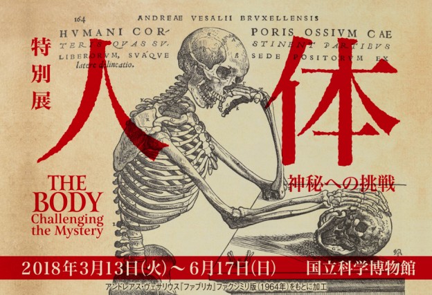 特別展「人体 ー神秘への挑戦ー」ダ・ヴィンチから4K映像まで「人体