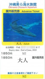 沖縄美ら海水族館 入館券