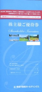 東急不動産ホールディングス株主優待券 冊子 5枚綴り（株主優待カードは除く）_課税対象商品