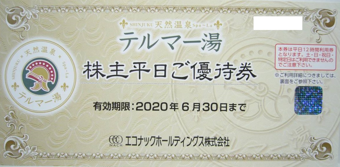 エコナック 株主優待 2枚 テルマー湯