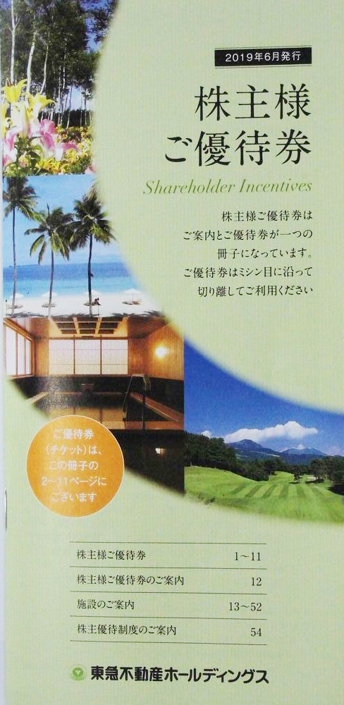 2022年限定カラー 東急不動産ホールディングス株主優待券 - 通販