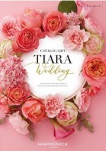 TIARA（ティアラ）キューピット 3,800円相当