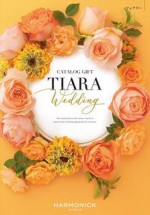 TIARA（ティアラ）フェアリー 4,800円相当