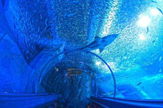 水族館