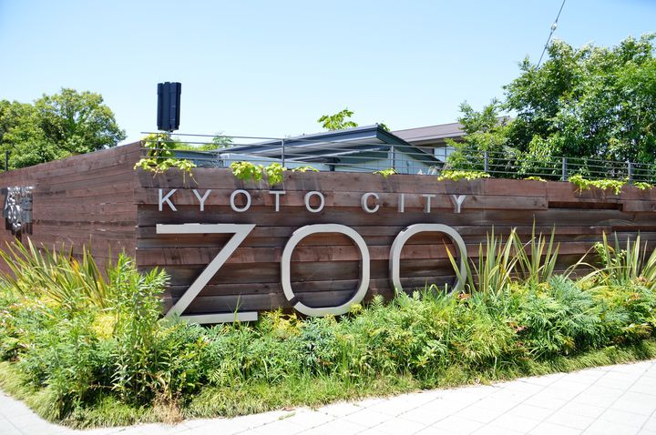 京都動物園