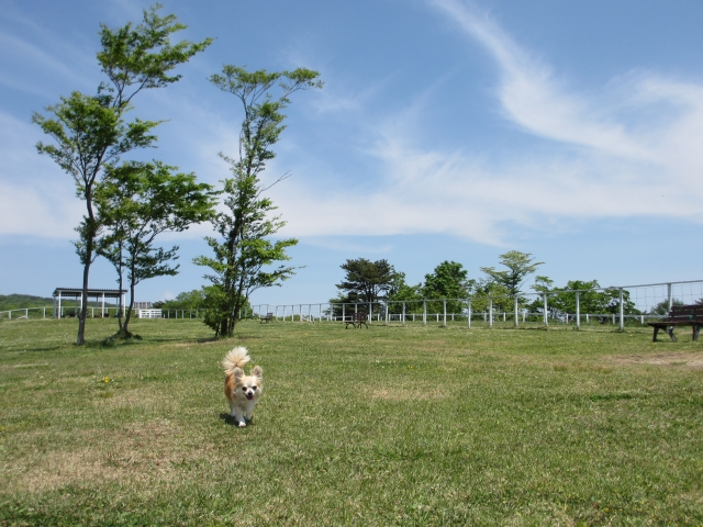 那須どうぶつ王国