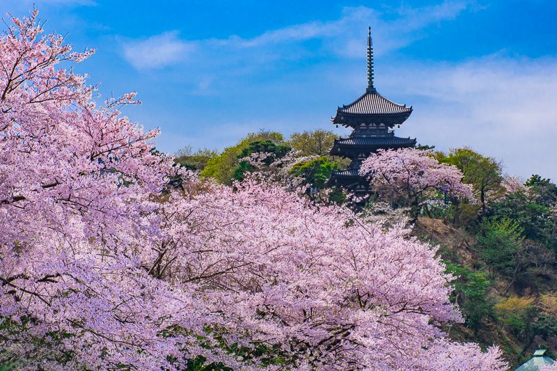 横浜三渓園