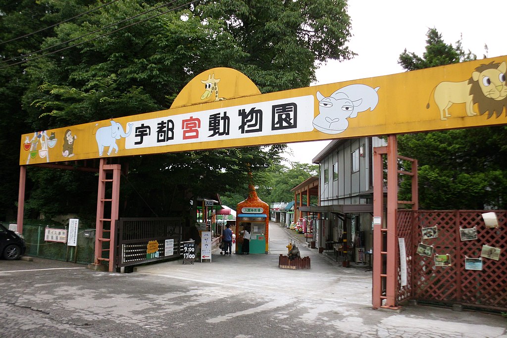 宇都宮動物園写真