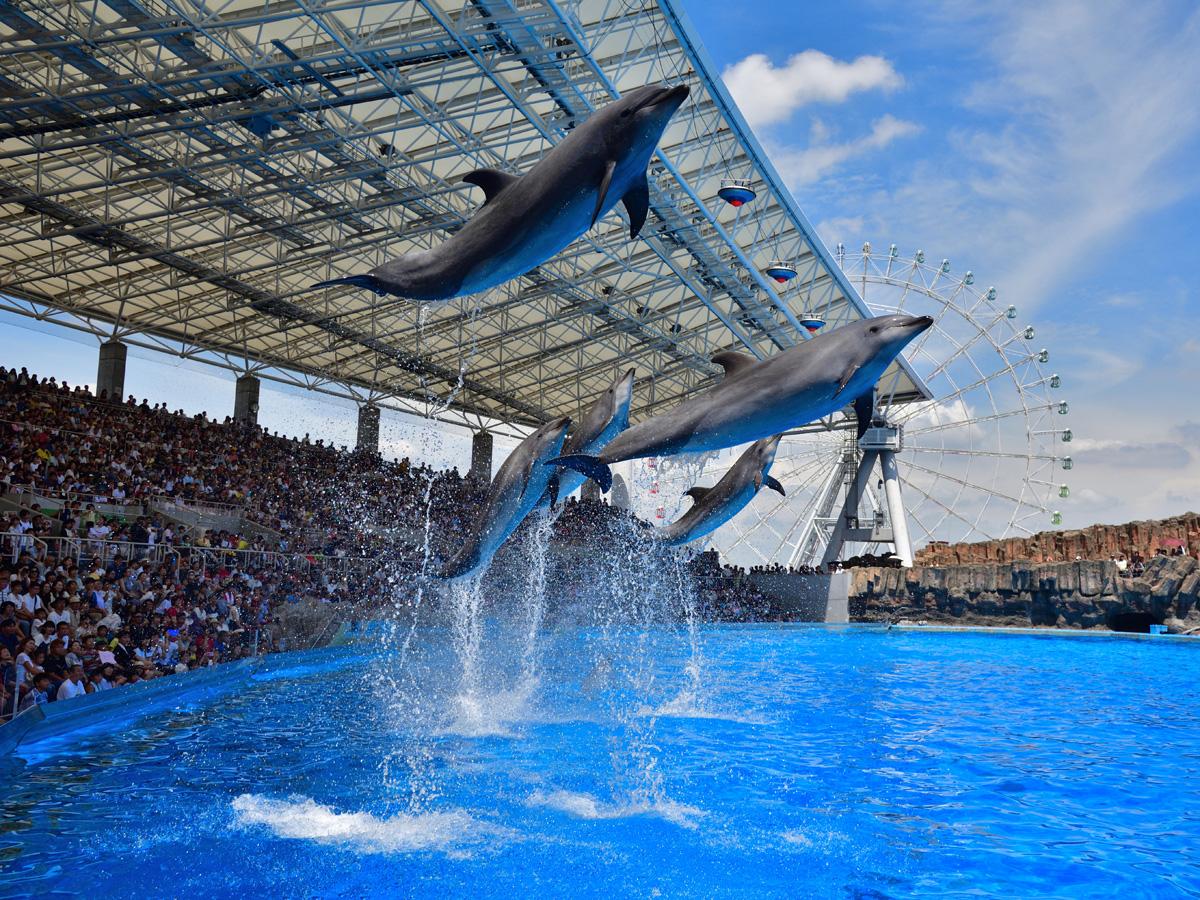 名古屋水族館　概要