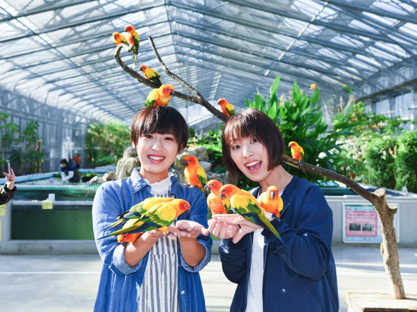 掛川花鳥園