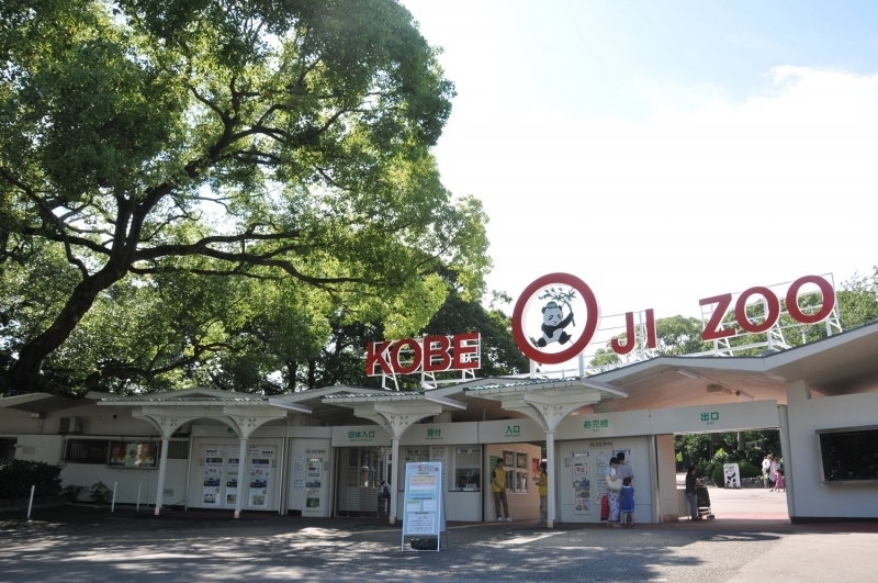 神戸市王子動物園