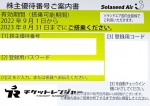 SNJ（ソラシドエア）株主優待券 ＜2022年9月1日〜2023年8月31日期限＞
