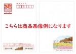 2024年用（令和6年）年賀はがき（年賀状）【絵入り［寄附金付］地方版】　額面63円（100枚完封）※未開封_課税対象商品