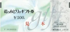 花とみどりのギフト券（有効期限あり） 500円券