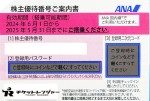 ANA（全日空）株主優待券 ＜2024年6月1日〜2025年5月31日期限＞ピンク_課税対象商品