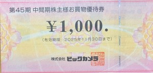 ビックカメラ株主優待券1,000円券 2025年11月30日期限