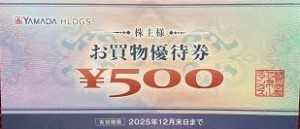 ヤマダデンキ（ヤマダ電機）株主お買物優待券 500円券 2025年12月31日期限_課税対象商品