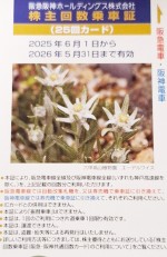 阪急阪神ホールディングス（阪急阪神HD）株主優待乗車証 25回カード 2026年11月30日期限