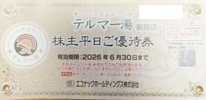 エコナックホールディングス（エコナックHD）株主優待 天然温泉テルマー湯【新宿店】平日入場券 2026年6月30日期限