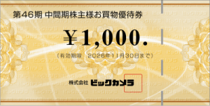 ビックカメラ株主優待券1,000円券 2026年11月30日期限